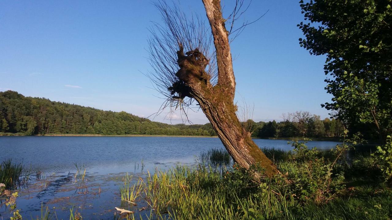 Dom Wakacyjny Kuszewo Czaplinek Esterno foto